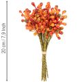 Bunch of orange berries, 20cm long | Floristik24.ie