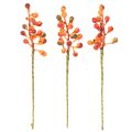 Bunch of orange berries, 20cm long | Floristik24.ie