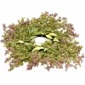 Floristik24 Artificial heather wreath green, pink Ø72cm