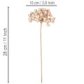 Artificial berry branch, champagne-colored decoration, 28cm, 3 pieces | Floristik24.ie