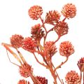 Artificial berry branch, lifelike autumn decoration, 68cm | Floristik24.ie