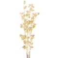Floristik24 Artificial berry branch decoration, gold, 70cm, 3 pieces