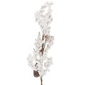 Artificial branch winter