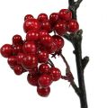 Floristik24 Berry branch red 50cm 4pcs