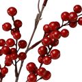 Floristik24 Berry branch in red decorative branch artificial 68cm