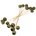 Bell Cup on a stem, green, dried exotic flowers, 5cm, 15 pieces | Floristik24.ie