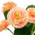 Floristik24 Daisy artificial peach colored 24cm 2pcs