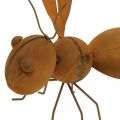 Floristik24 Decorative figure bee, metal insect, garden decoration with patina L20cm H19cm