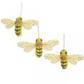 Floristik24 Deco clip bee, spring decoration, bee to clip, gift decoration 3pcs