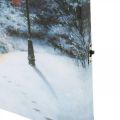 Floristik24 LED mural winter landscape with house 38×28cm For battery