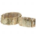 Floristik24 Planter oval birch 2pcs