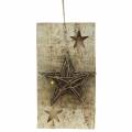 Floristik24 Christmas sign birch with LED star / batteries 40cm
