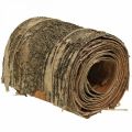 Floristik24 Birch bark roll brown, gray bark for crafts 15×300cm