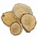 Floristik24 Birch slices round natural 5cm 1kg for decoration with bark