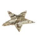 Birch stars 6cm 100 pcs | Floristik24.ie