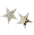 Floristik24 Birch stars natural snow-making 9cm 15pcs