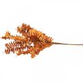 Floristik24 Artificial plants autumn decoration artificial branch leaves orange 46cm