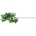 Floristik24 Deco Branch Artificial Leaves Branch Green Birch Branch 90cm