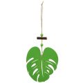 Floristik24 Leaf 14.5cm for hanging Green