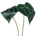 Floristik24 Caladium leaf 32cm 2pcs