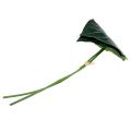 Floristik24 Caladium leaf 32cm 2pcs