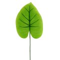 Floristik24 Decorative leaf Funkie, Hosta 40cm 5pcs
