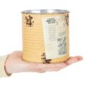 Tin can decorative can Apricot metal plant pot Ø11cm H10.5cm | Floristik24.ie