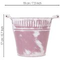 Tin bucket, purple and white washed, Ø19cm H17cm, 1 pc. | Floristik24.ie