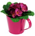 Floristik24 Tin planter for planting Pink Ø13cm H10-15cm