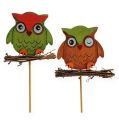 Floristik24 Decorative plug owls 7cm 12pcs