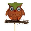 Floristik24 Decorative plug owls 7cm 12pcs