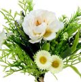 Floristik24 Bouquet with Bellis White 20cm