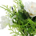 Floristik24 Bouquet with Bellis White 20cm