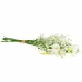 Floristik24 Bouquet with asters white 47cm