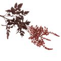 Artificial flower Astilbe