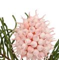 Floristik24 Blossom branch Foam Pink/Green 65cm