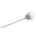 Floristik24 Blossom branch foam white, green 72cm