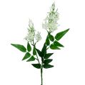 Floristik24 Blossom branch white 78cm 3pcs