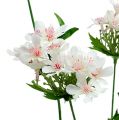 Floristik24 Blossom branch white L70cm