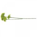 Floristik24 Artificial flower branch Yellow fennel artificial branch with 3 flowers 85cm