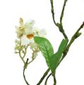 Floristik24 Blossom branch white L 65cm 1 piece Artificial plant like real!