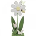 Floristik24 Flower to put, spring decoration with butterflies H36.5cm