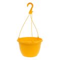 Floristik24 Hanging basket 25cm yellow