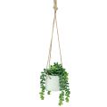 Floristik24 Hanging baskets succulents artificial green assorted 18cm 3pcs