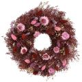 Floristik24 Flower wreath, dried flower wreath, wine red, pink, Ø25cm