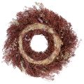 Flower wreath, dried flower wreath, wine red, pink, Ø25cm | Floristik24.ie