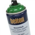 Floristik24 Belton free water based paint high gloss color spray 400ml