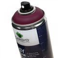 Floristik24 OASIS® Easy Color Spray, paint spray Erika 400ml