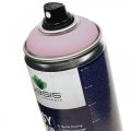 Floristik24 OASIS® Easy Color Spray, paint spray soft pink 400ml