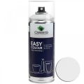 Floristik24 OASIS® Easy Color Spray, paint spray white, winter decoration 400ml